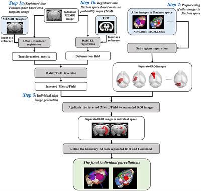 Automatic method for individual parcellation of manganese-enhanced magnetic resonance imaging of rat brain